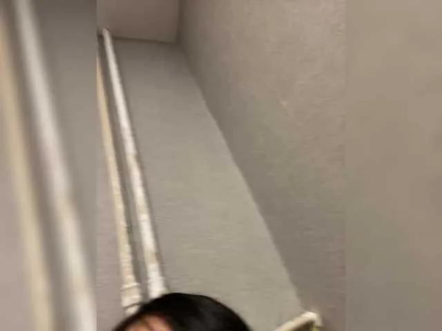 Nosikk —     
